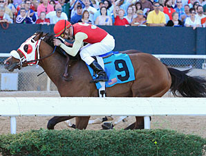 City Sage wins the 2012 Hot Springs.
