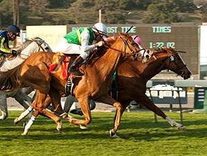 City to City in the Buena Vista Handicap.
