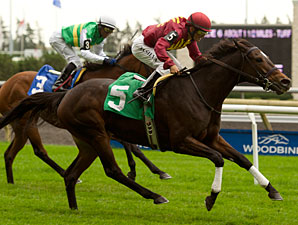 Clarinet wins the 2012 Flaming Page Stakes.
