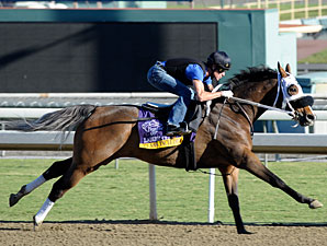 Class Included at Santa Anita 10/29/2012.