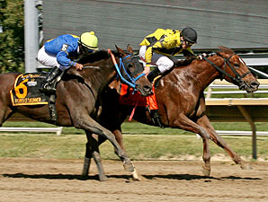Classy Coco wins the 2013 Dr. Teresa Garofalo Memorial Stakes.