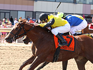 Classy Coco wins the Dr. Teresa Garofalo Memorial Stakes.