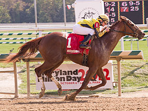 Classy Coco wins the 2012 Maryland Million Lassie.