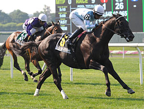 Clear Attempt wins the 2012 Poker Stakes.