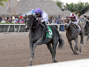 Clearly Now wins the 2013 Swale Stakes.