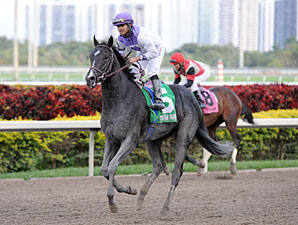 Clearly Now wins the 2013 Swale Stakes.