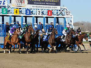 Close Hatches wins the 2013 Gazelle.