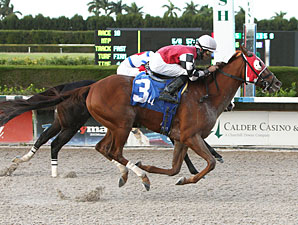 Close It Out wins the 2012 Jack Dudley Sprint Handicap.