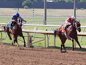 Closing Report wins the 2013 TTA Sales Futurity.