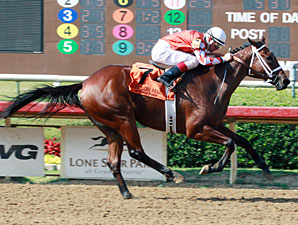 Closing Report wins the 2013 TTA Sales Futurity.
