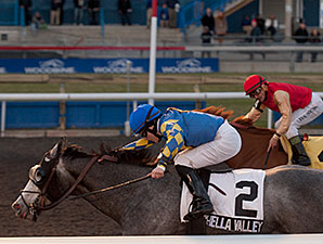 Coachella Valley wins the 2013 Jammed Lovely Stakes.