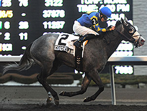 Coachella Valley wins the 2013 Jammed Lovely Stakes.