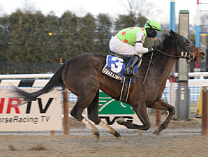 Coax Liberty wins the 2011 Dearly Precious.