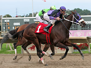 Coco's Sweetie wins the 2011 PA Horse Breeders Distaff.