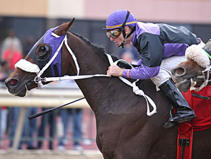Coco's Sweetie wins the 2011 PA Horse Breeders Distaff.