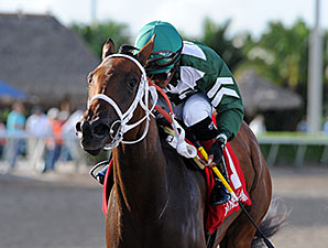 Coco's Wildcat wins the 2014 Cassidy Stakes.