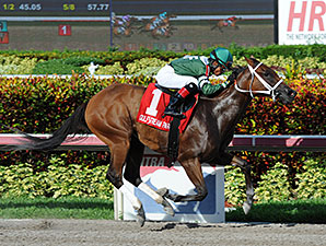 Coco's Wildcat wins the 2014 Cassidy Stakes.