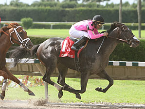 Coffee Boy wins the 2010 Carry Back.