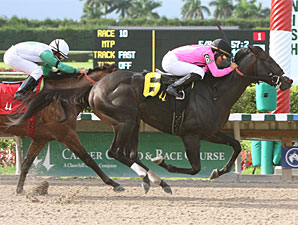 Coffee Boy wins the 2010 Unbridled Stakes.