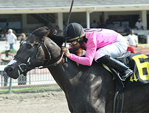 Coffee Boy wins the 2010 Unbridled Stakes.
