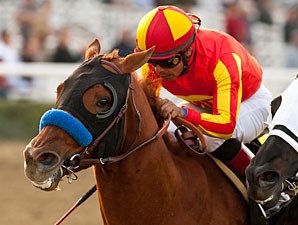 Coil wins the 2013 San Pasqual Stakes.