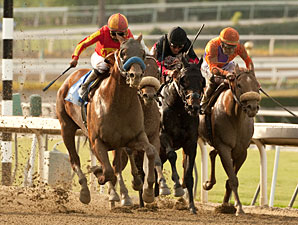 Coil wins the 2012 Santa Anita Sprint Championship.