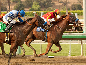 Coil wins the 2012 Santa Anita Sprint Championship.
