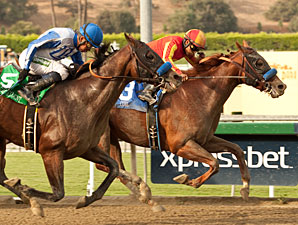Coil wins the 2012 Santa Anita Sprint Championship.