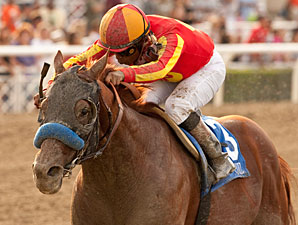 Coil wins the 2012 Santa Anita Sprint Championship.