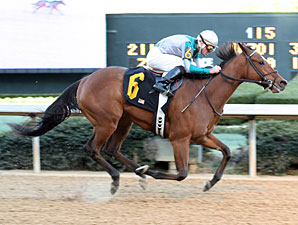 Comedero wins the 2010 Mountain Valley. 