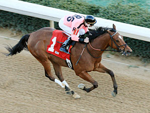 Comedero wins the 2012 No Double Breeders' Stakes.