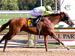Comet of Love wins the 2011 Jameela Stakes.