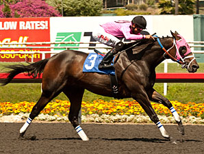 Comma to the Top wins the Los Angeles Stakes.