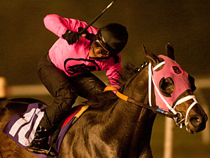 Comma to the Top wins the 2010 CashCall Futurity.