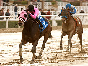Comma to the Top wins the 2012 Daytona Stakes.