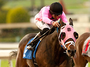 Comma to the Top wins the 2012 Daytona Stakes.