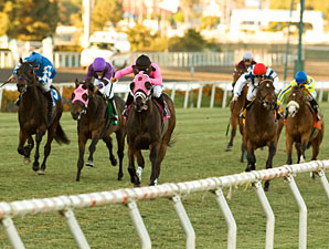 Comma to the Top wins the 2010 Generous.