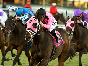 Comma to the Top wins the 2010 Generous.