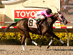Comma to the Top wins the 2012 Pirate's Bounty Stakes.