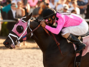 Comma to the Top wins the 2012 Pirate's Bounty Stakes.
