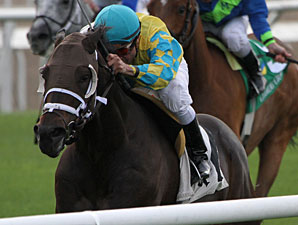 Compliance Officer wins the 2011 Claiming Crown The Emerald.