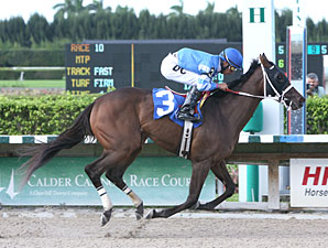 Conway Two Step wins the 2011 Brave Raj.