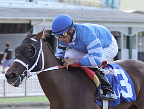 Conway Two Step wins the 2011 Brave Raj.