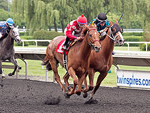 Countess Cashmere wins the 2014 Purple Violet Stakes.