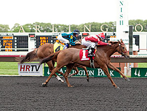 Countess Cashmere wins the 2014 Purple Violet Stakes.