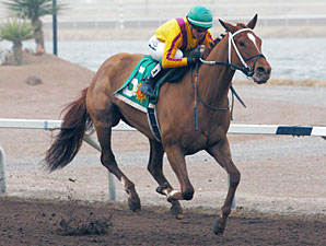 Countess Curlin wins the Island Fashion Stakes.
