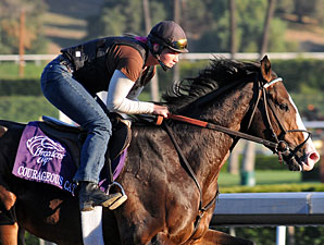 Courageous Cat 2009 Breeders' Cup