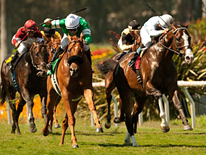 Courageous Cat wins the 2011 Shoemaker Mile.