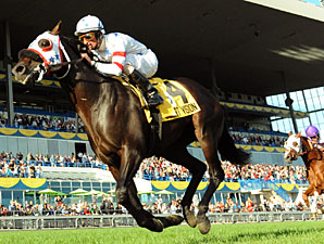 Court Vision wins the 2010 Woodbine Mile,