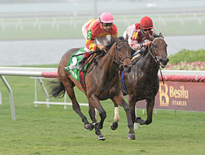 Courtesan wins the 2013 Juvenile Filly Turf Stakes.